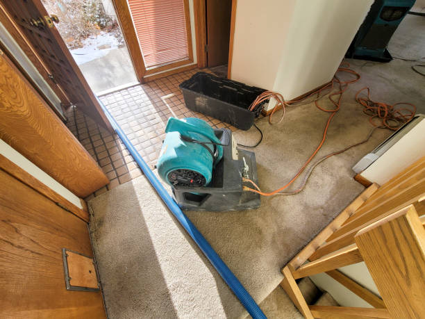 Best Water damage cleanup near me  in Goleta, CA