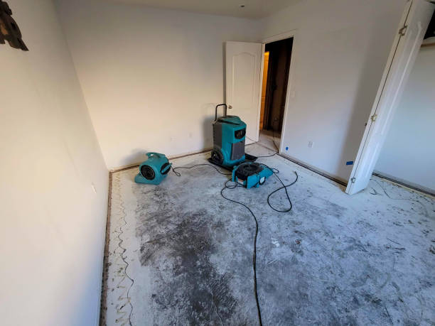 Best Flooded house restoration  in Goleta, CA