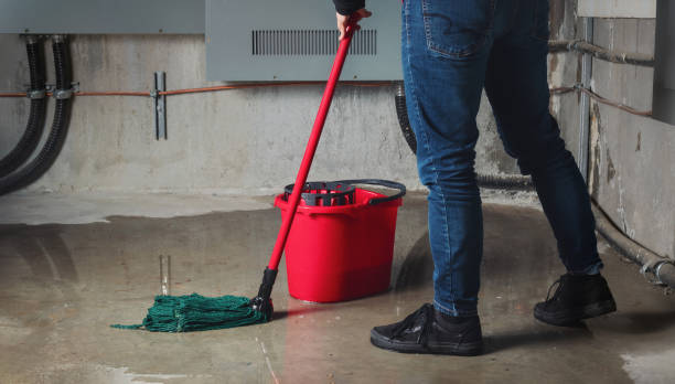 Best Water damage restoration near me  in Goleta, CA