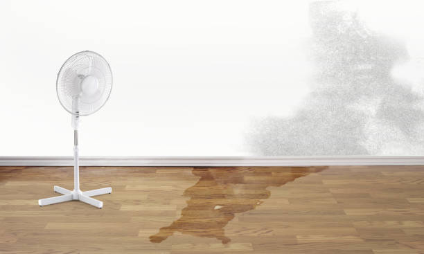 Best Water damage restoration specialists  in Goleta, CA