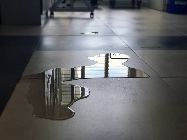 Best Carpet water damage restoration  in Goleta, CA