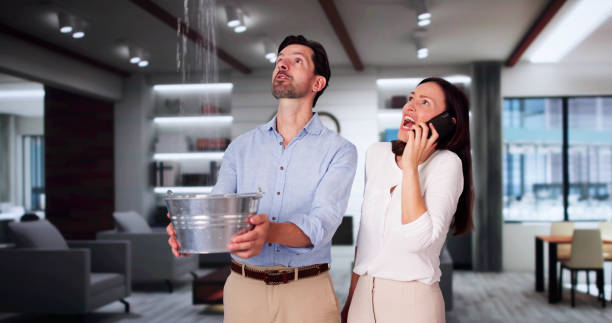 Best Basement water damage restoration  in Goleta, CA